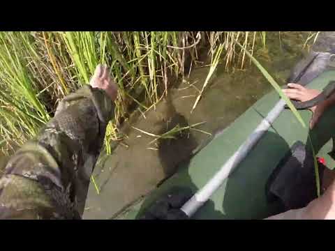 Видео: Казахстан. Жезказган. Сатпаев. Пошла Жара!