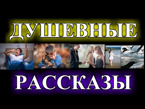 Видео: ДУШЕВНЫЕ  РАССКАЗЫ❤️ЭЛИТА❤️ЭМАНУЭЛЬ❤️ЛУЧШАЯ ПОДРУГА МУЖА❤️И НЕ ПРИНЦ ВОВСЕ❤️ПОДКИДЫШ❤️@TEFI РАССКАЗЫ