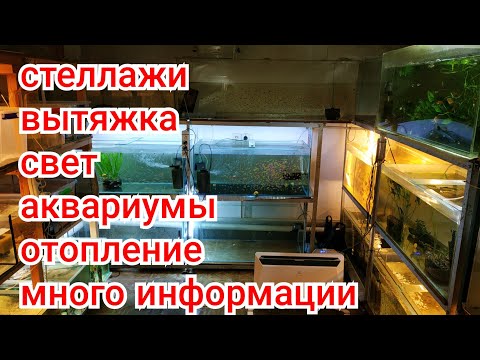 Видео: Как устроена разводня- много полезной информации, мой опыт мои ошибки (1 часть)