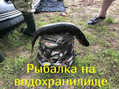 Видео: Рыбалка!Братское водохранилище!Любимая сибирь))))))