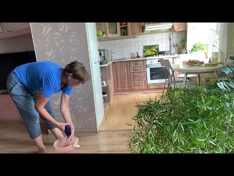 Видео: Воскресный день. Пирожки на обед. Домашние дела.
