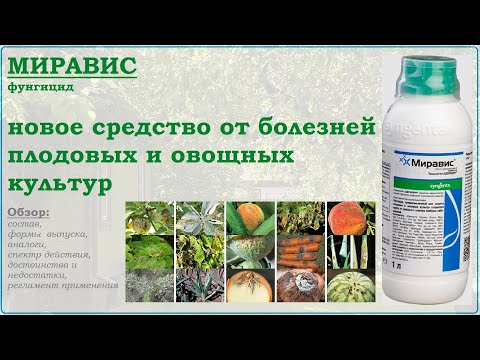 Видео: Миравис - новое средство от болезней плодовых и овощных культур. Обзор фунгицида