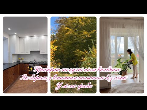 Видео: 🏡Завал на кухні✅ВІДГУК про варильну поверхню🍄Перші опеньки