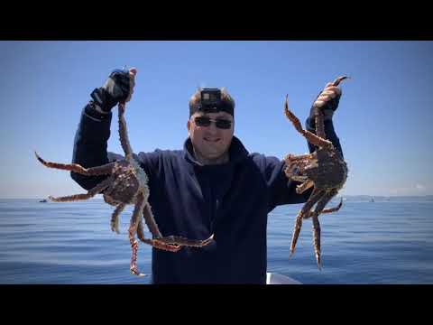 Видео: Ловля камбалы и краба в Уссурийском заливе