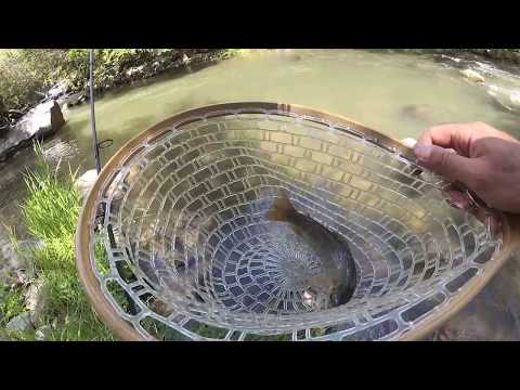 Видео: Ловля Форели, Жереха и Голавля на Спиннинг в Армении