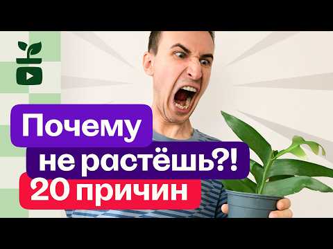 Видео: 20 причин Почему твои растения не растут.