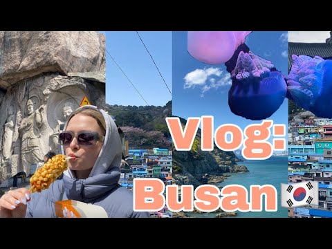 Видео: Vlog // Пусан // Море // Храмы // Океанариум🇰🇷