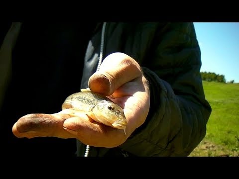 Видео: Рыбалка на пескаря /малая речка