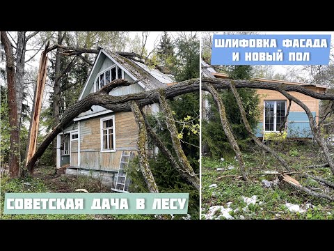 Видео: Страшно! Дуб УПАЛ на дом|Зачищаю болгаркой деревянный фасад от старой краски|Новый пол в старом доме
