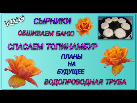 Видео: 🍒Продолжаем обшивать баню, муж упал с лестницы/ Спасаем топинамбур/ Приводим в порядок трубу/Сырники
