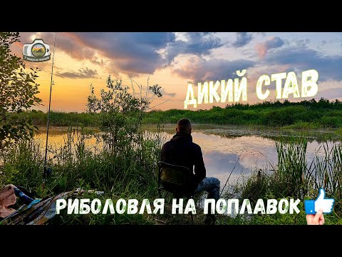 Видео: ТАКЕ Я ЩЕ НЕ ЛОВИВ!😮Риболовля на дикому ставі🐟Перший Лин*