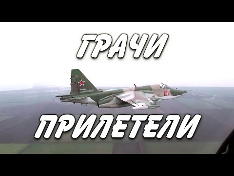 Видео: Грачи прилетели