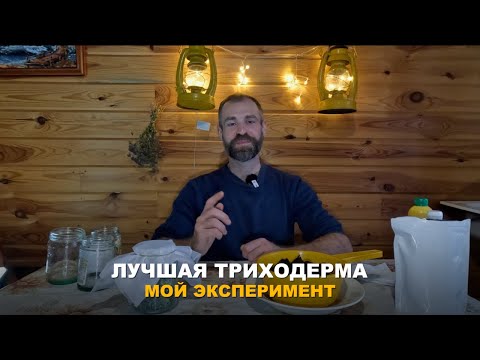 Видео: ТРИХОДЕРМА ГОТОВА. Начало нового эксперимента по наращиванию триходермы разными препаратами.