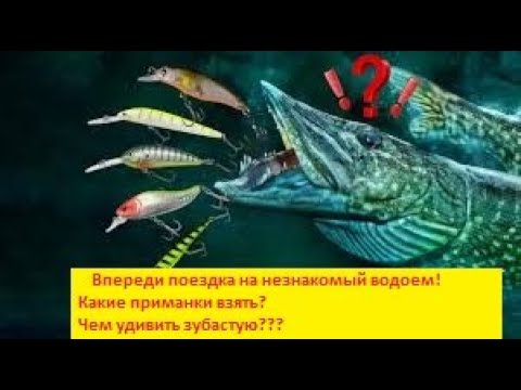 Видео: Собираю коробку приманок для выезда на неизвестный водоем. Уловистые воблера. Топ приманок для щуки.