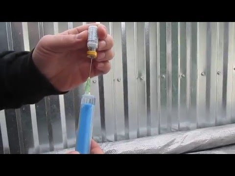 Видео: Вакцинація кролів від "Міксоматозу"