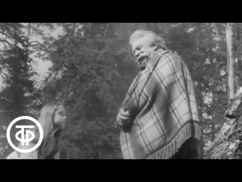 Видео: К.Паустовский. Корзина с еловыми шишками (1968)