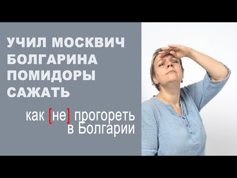 Видео: Учил москвич болгарина помидоры сажать: как (не) вести бизнес в Болгарии