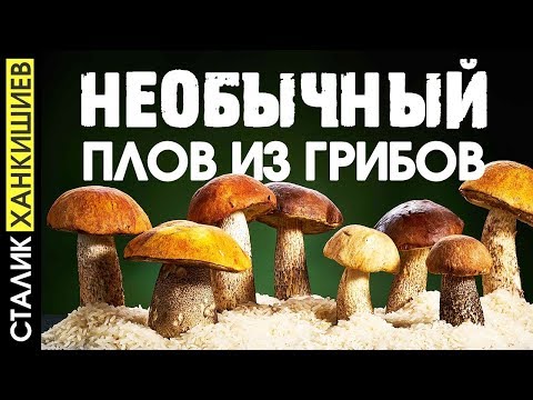 Видео: ПЛОВ С ГРИБАМИ / Сталик Ханкишиев Казан-Мангал