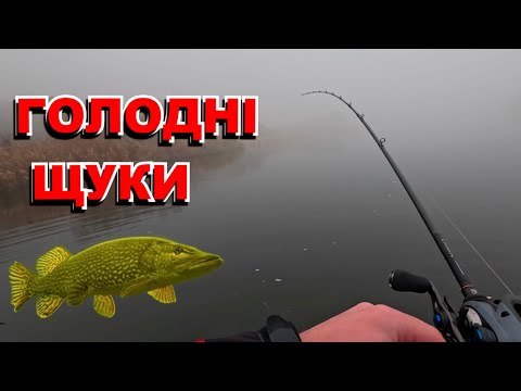 Видео: ОСІННЯ ЩУКА В ЛИСТОПАДІ🎣 ЛОВЛЯ ЩУКИ З ЧОВНА 