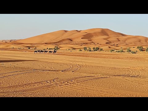 Видео: Марокко 2