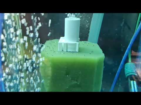 Видео: #Мечики и рыбасики 👍✊️💪