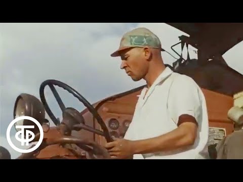 Видео: Ты запой мне ту песню.... Фильм-концерт (1974)