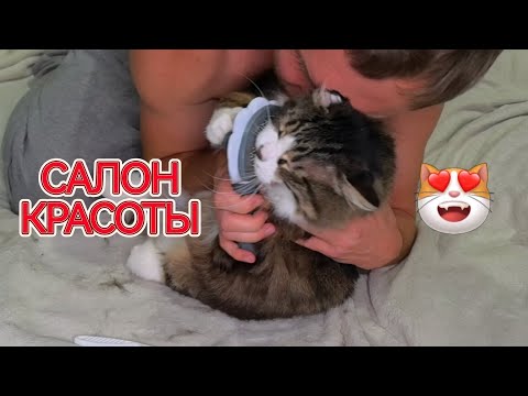 Видео: САМАЯ ДОРОГАЯ ШУБА