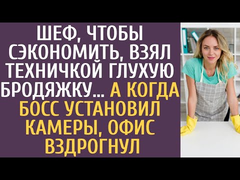 Видео: Шеф, чтобы сэкономить, взял техничкой глухую бродяжку… А когда босс установил камеры, офис вздрогнул