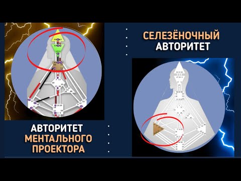 Видео: СЕЛЕЗЁНОЧНЫЙ АВТОРИТЕТ И АВТОРИТЕТ МЕНТАЛЬНОГО ПРОЕКТОРА / МАТЕРИАЛ ИЗ КУРСА "МАЙА"