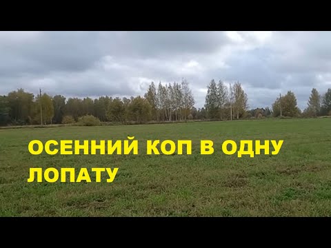 Видео: Шмурдкоптрест выпуск №36 "Обычный коп в одну лопату"