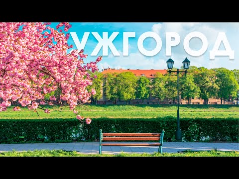 Видео: Прогулка по Ужгороду. Немного сакур 🌸