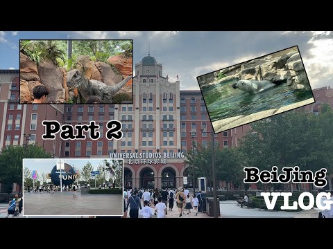 Видео: Vlog Part 2 📍BeiJing Universal, Zoo (амьтны хүрээлэн)｜Azaatai Khuvchin | 2023｜