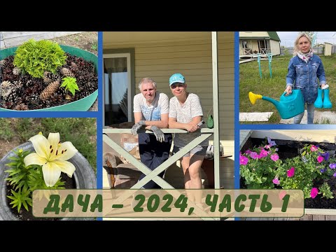Видео: ДАЧНЫЕ НОВОСТИ: январь-июнь 2024