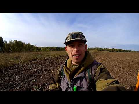 Видео: Поле после ВСПАШКИ! СУПЕР НАХОДКИ с xp Deus.МОРЕ АДРЕНАЛИНА