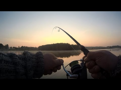Видео: ЛОВЛЯ КАРПА НА КОММЕРЧЕСКОМ ВОДОЕМЕ! РЫБАЛКА В КОКИНО (НОВЫЙ ВОДОЕМ)