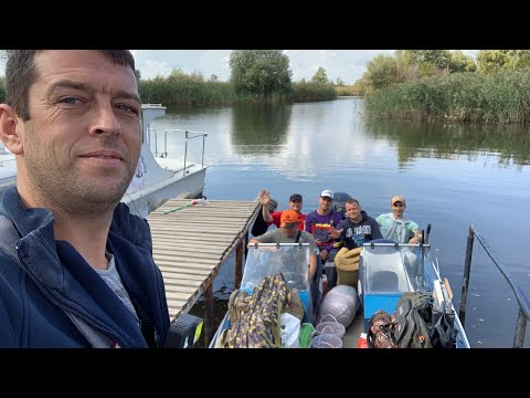 Видео: Беляева-турунчук 12.10.20