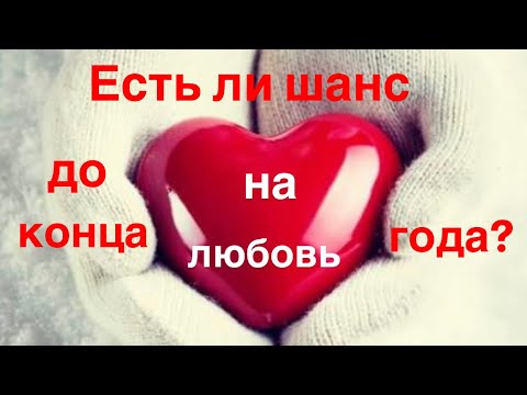 Видео: Есть ли шанс на любовь до конца года?⁉️🥰💯❤️❄️
