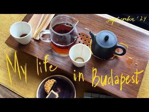 Видео: vlog | жизнь в будапеште, хайкинг, чай и венгерский язык