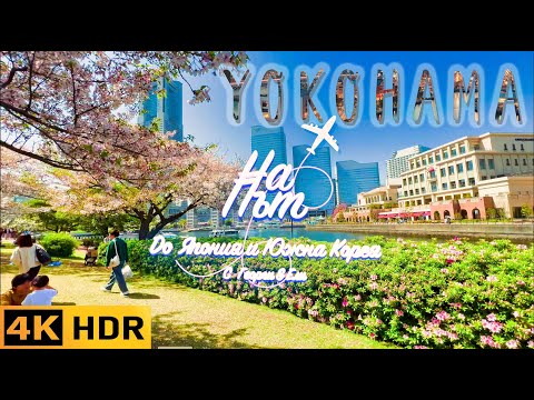 Видео: Разходка из Йокохама - местна храна, китайския квартал, Landmark tower,  Cosmo world, цъфтящи сакури