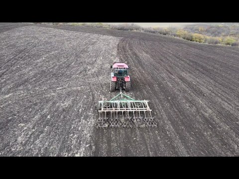 Видео: МТЗ 1523 с культиватором КПС5  по полупару 🚜🚜🚜