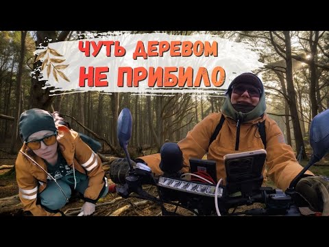 Видео: Нашли СЕКРЕТНОЕ МЕСТО в лесу. Жарим вкусный стейк на углях