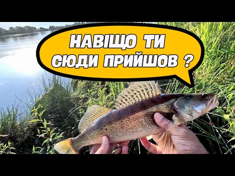 Видео: ⚡ ПЕРЕВІРИВ НОВЕ РИБОЛОВНЕ МІСЦЕ. РИБА Є!!! ⚡