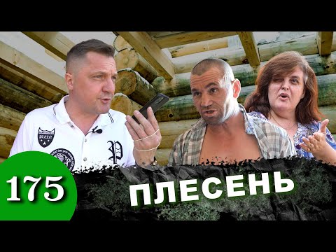 Видео: Дом за миллион / Плесень сожрала каркас / Нам не рады