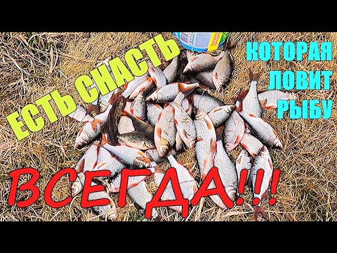 Видео: ШОК!!! Столько рыбы на экраны-телевизоры я не ловил никогда!