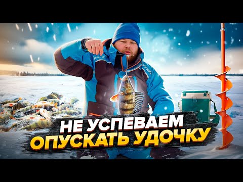 Видео: НЕ УСПЕВАЕМ ОПУСКАТЬ УДОЧКУ