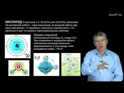 Видео: Дубынин В.А. - 100 часов школьной биологии - 2.1. Вода и минеральные соли. Органические соединения