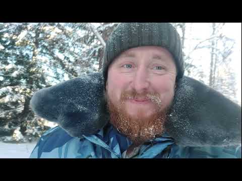 Видео: Зимний лес. Один зимний денёк в деревне. Жизнь в деревне.