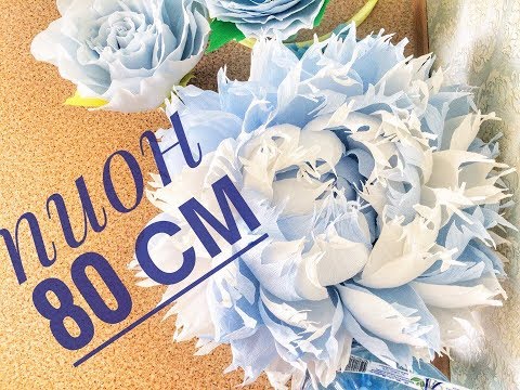 Видео: МК Мега огромный пион 80 см (часть1)