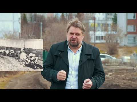 Видео: Улица Вязов №5: микрорайон Снегири