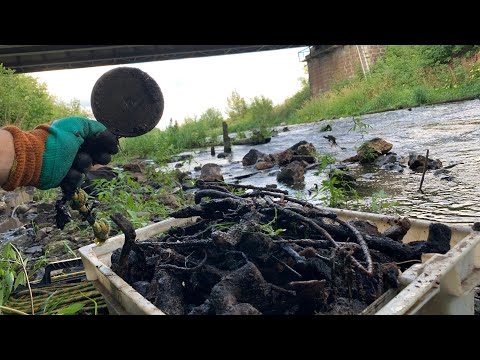 Видео: Поисковый Магнит как Повседневный Заработок, Реально ли окупить магнит?